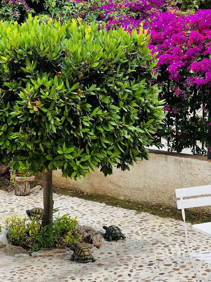 Bed & Breakfast B&B Bouganville Rilievo